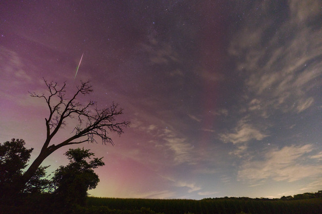 Photo of a Perseid Meteor